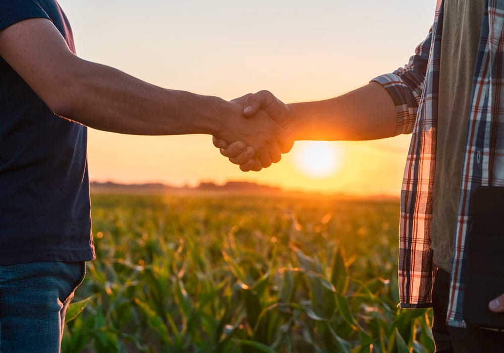 Menos intermediarios y más eficiencia