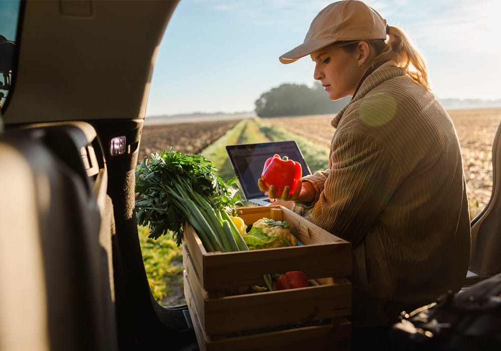 Plataforma gratuita y accesible