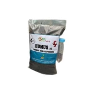 Humus de Lombriz - Sólido - Image 2